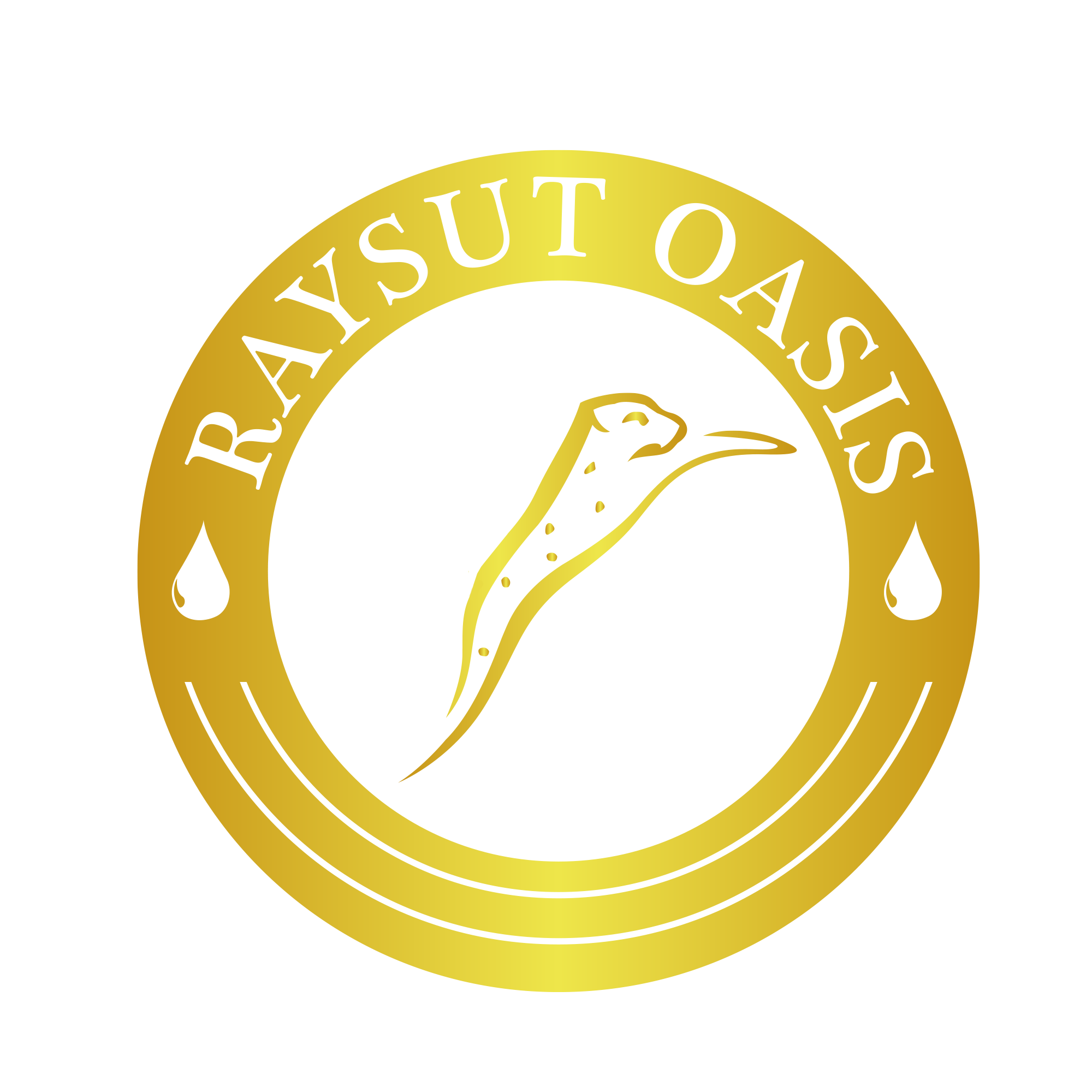 raysut osais